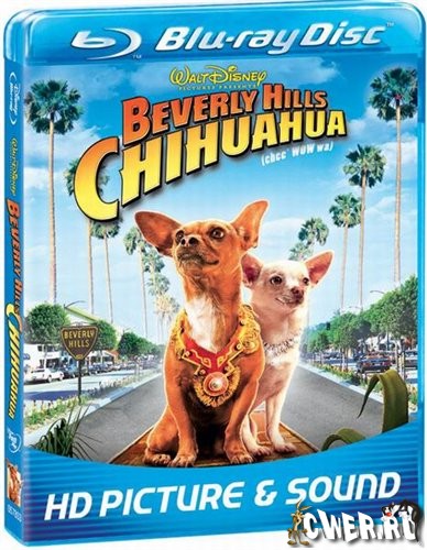 Beverly Hills Chihuahua