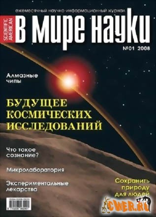 В мире науки №1, январь 2008 