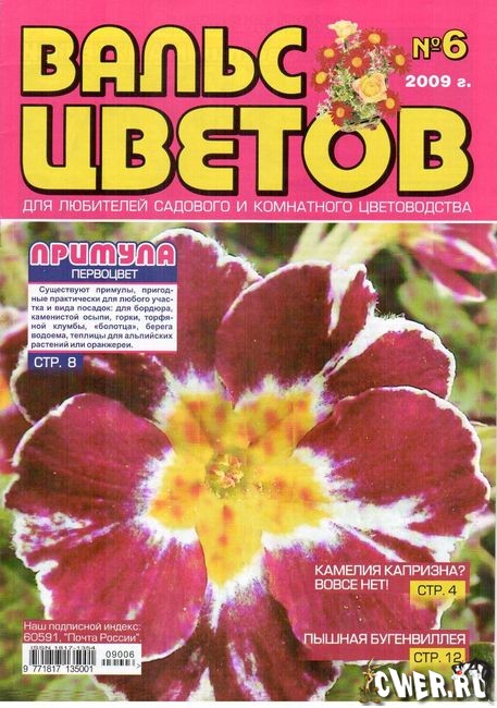 Вальс цветов №6 2009 