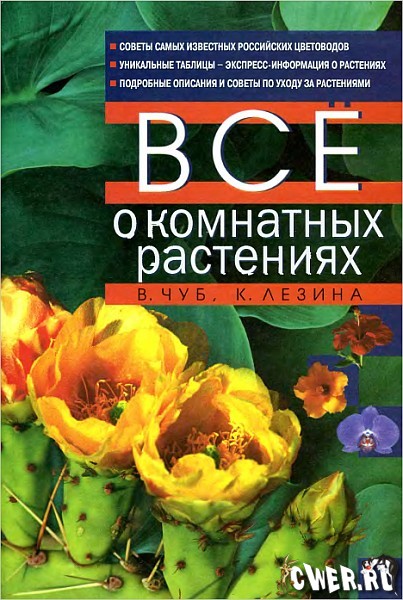 Всё о комнатных растениях