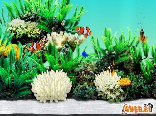 Aquazone Desktop Garden