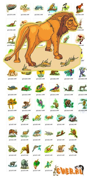 Jungle WMF Clipart