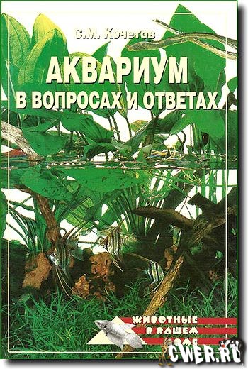 С. М. Кочетов. Аквариум в вопросах и ответах