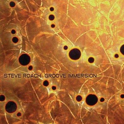 Steve Roach. Groove Immersion 