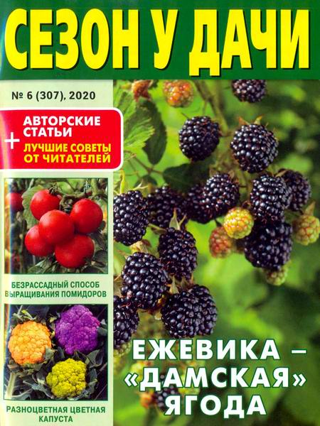 журнал газета Сезон у дачи №6 март 2020