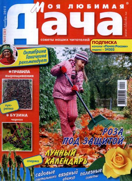 Моя любимая дача №11 2011