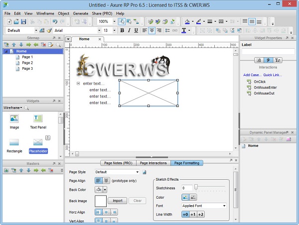 Axure RP Pro 6.5.0.3051