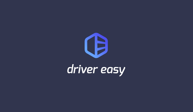 Driver Easy Professional