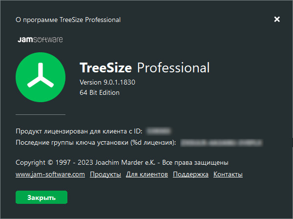 TreeSize Professional