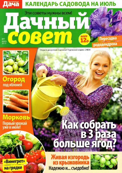 Дачный совет №7 2013