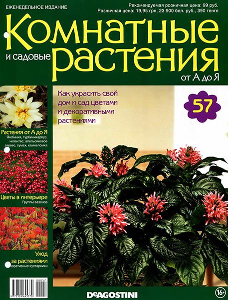 Комнатные и садовые растения от А до Я №57 2015