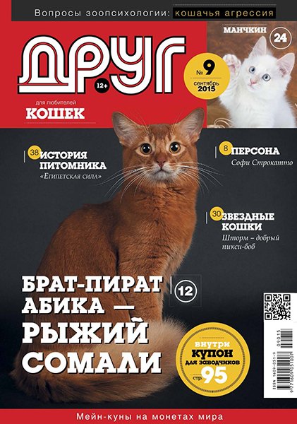 Друг для любителей кошек №9 2015