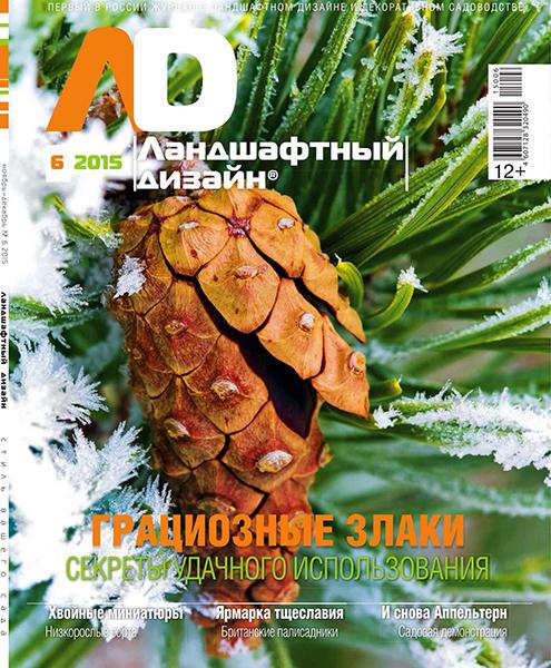 Ландшафтный дизайн №6 2015