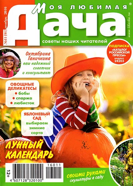 Моя любимая дача №11 2016