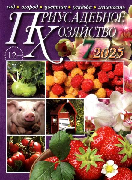 Приусадебное хозяйство №7 июль 2025 + приложения Цветы в саду и дома Дачная кухня