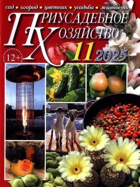 Приусадебное хозяйство №11 ноябрь 2025 + приложения Цветы в саду и дома Дачная кухня