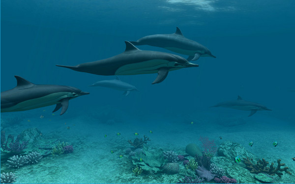 Dolphins 3D Screensaver and Animated Wallpaper