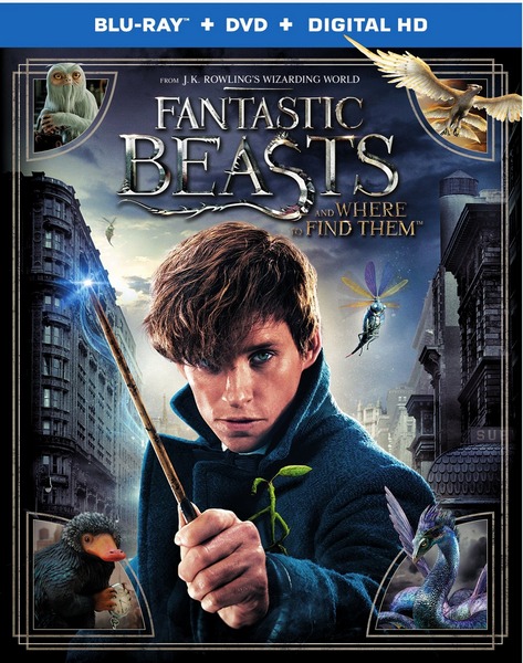 Fantastic Beasts and Where to Find Them