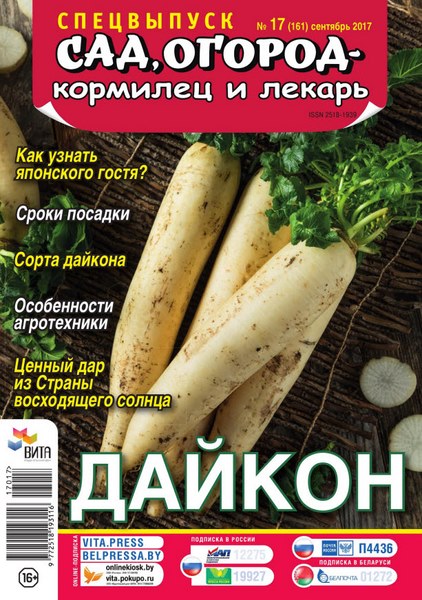 Сад, огород – кормилец и лекарь. Спецвыпуск №17 (сентябрь 2017). Дайкон