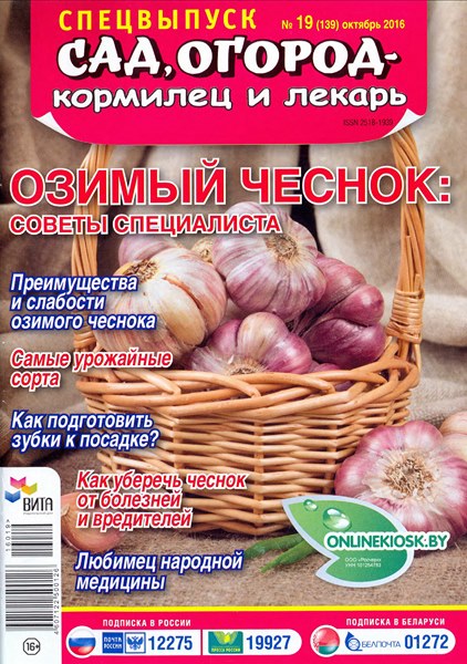 Сад, огород - кормилец и лекарь. Спецвыпуск №19 (октябрь 2016). Озимый чеснок