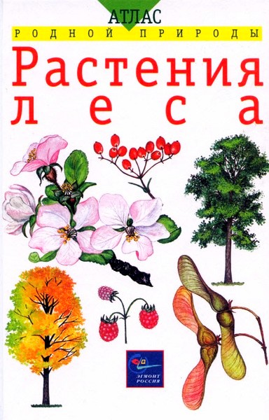 Татьяна Козлова. Владислав Сивоглазов. Растения леса