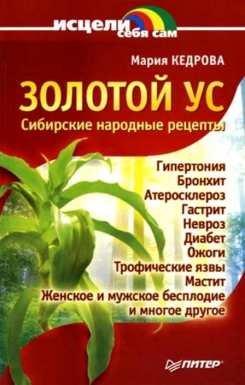 Золотой ус. Сибирские народные рецепты