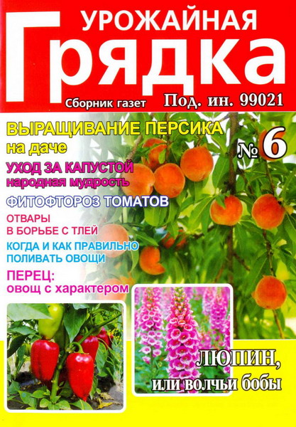 Урожайная грядка №6 (июнь 2012)