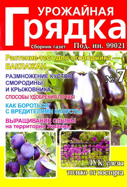 Урожайная грядка №7 (июль 2012)