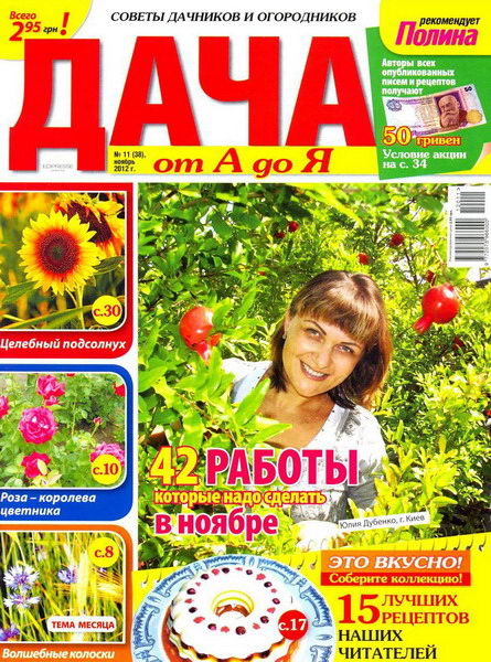 Дача от А до Я №11 (ноябрь 2012)