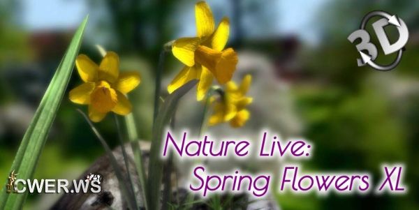 Nature Live: Spring Flowers XL