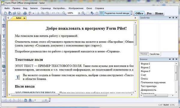 Form Pilot Office 2.41