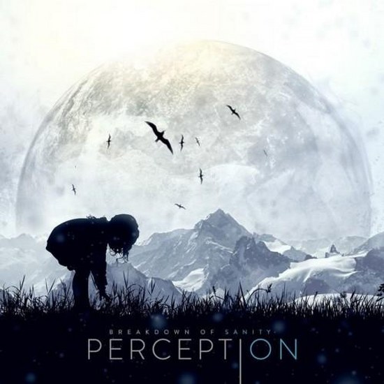 Breakdown Of Sanity. Perception (2013)