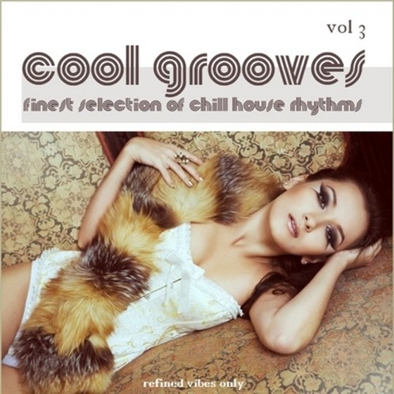 скачать Cool Grooves Vol. 3 (2012)