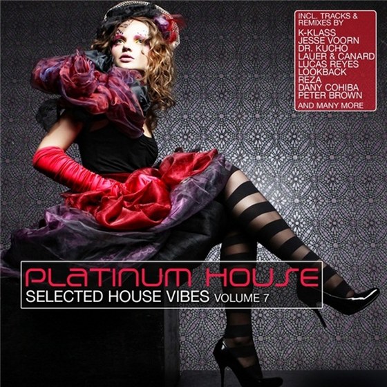 скачать Platinum House Vol. 7: Selected House Vibes (2012)