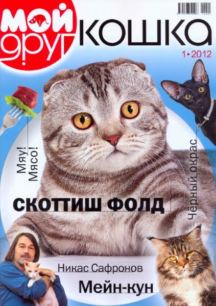 Мой друг кошка 1 2012