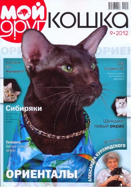 Мой друг кошка №9 2012