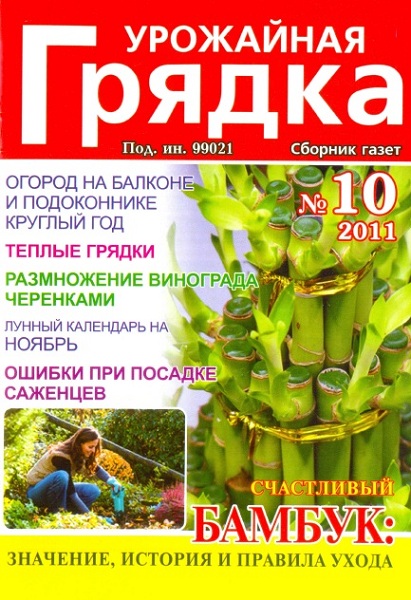 Урожайная грядка 10 2011