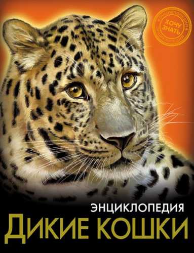 Дикие кошки