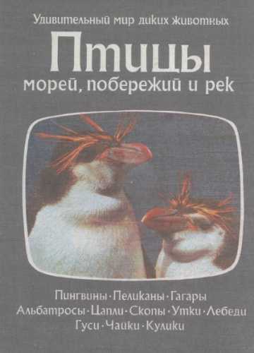 Птицы морей, побережий и рек