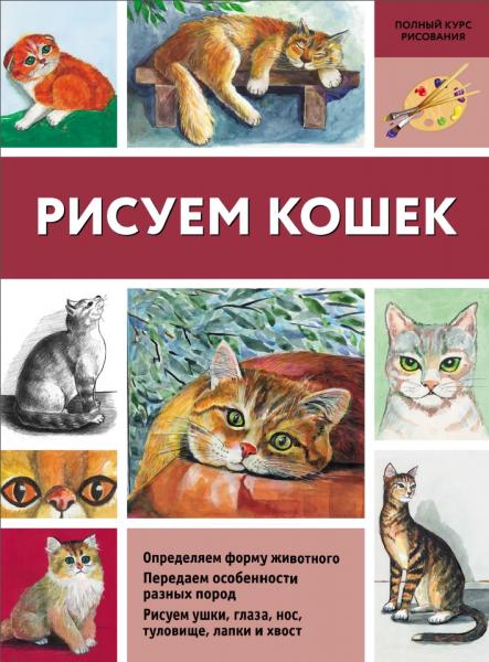 Рисуем кошек