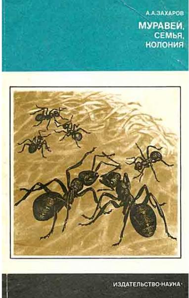 А.А.Захаров. Муравей, семья, колония