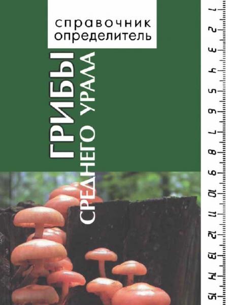 В.А. Мухин. Грибы Среднего Урала