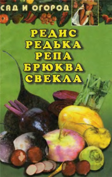 Редис, редька, репа, брюква, свекла