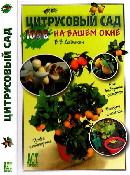 В.В. Дадыкин. Цитрусовый сад на вашем окне