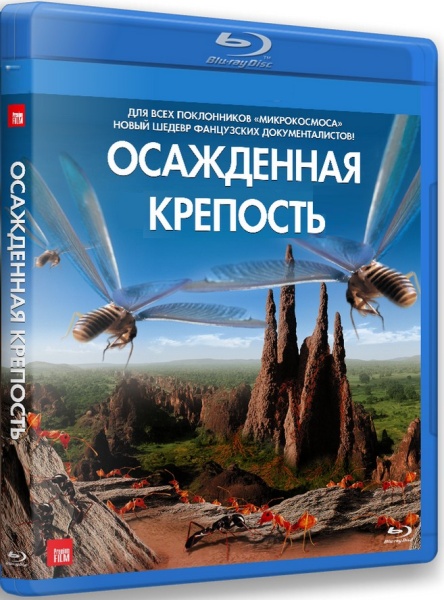 Осажденная крепость