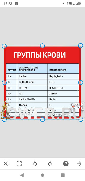 Document Scanner1