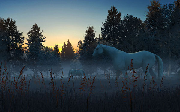 Fog Horses 3D Screensaver