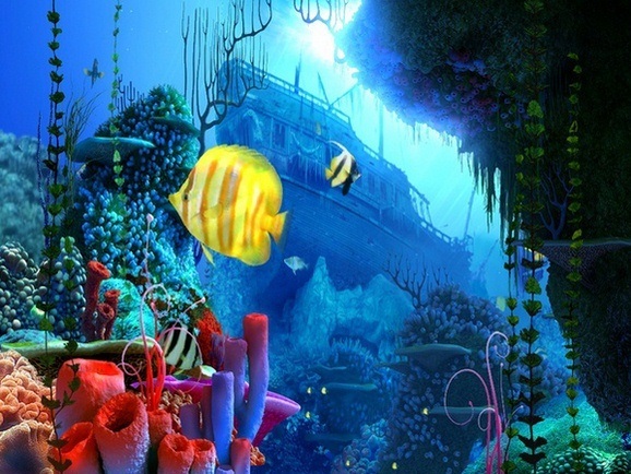 Coral Reef 3D Screensaver