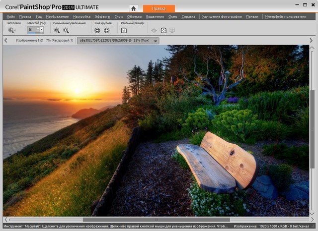 Corel PaintShop Pro 2019 Ultimate