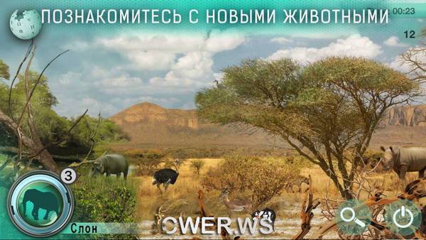 скриншот игры Hidden Animals: Photo Hunt